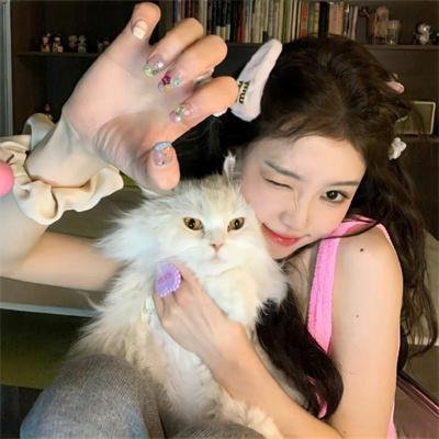 威龙猛探粤语